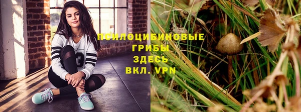 2c-b Волосово