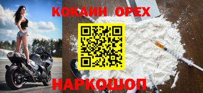 гидра Камышлов