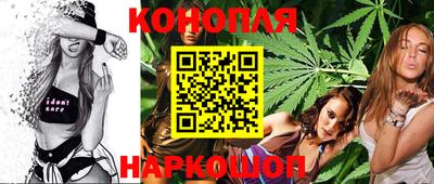 гидра Камышлов