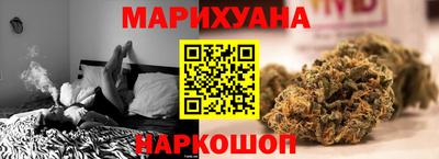 гидра Камышлов