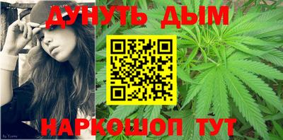 гидра Камышлов