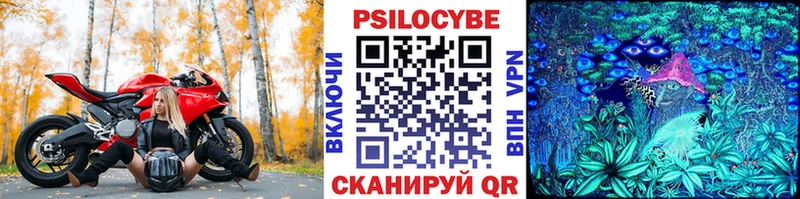 Псилоцибиновые грибы прущие грибы Медногорск