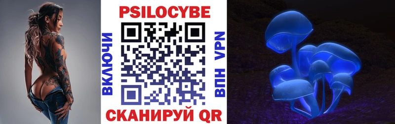 сколько стоит  мега как войти  Галлюциногенные грибы GOLDEN TEACHER  Медногорск 