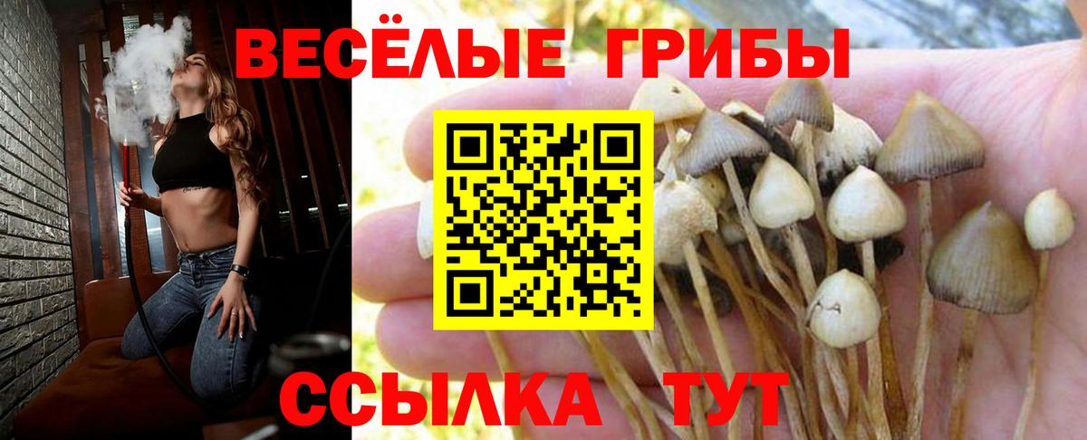 Псилоцибиновые грибы Magic Shrooms Медногорск